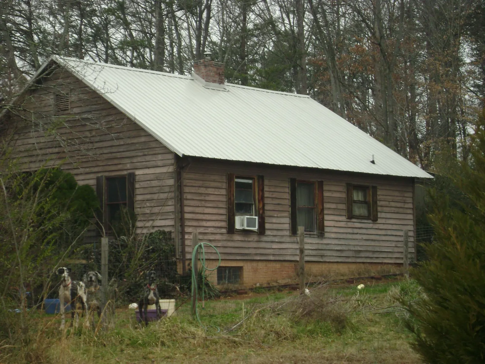 White metal roof on an old wood sided farmhouse, from a Asphalt Shingle Roof Repair job in East Amherst